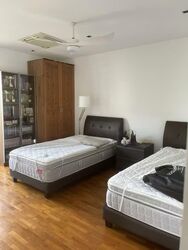 The Arcadia (D11), Condominium #579132961